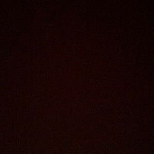 Meet your Posher, Gavigavin